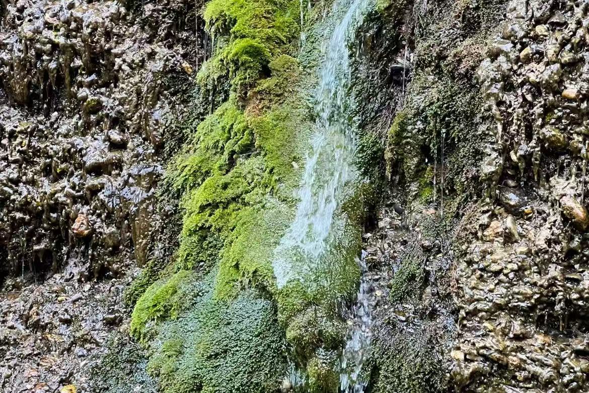 Zonglang Ling Spring